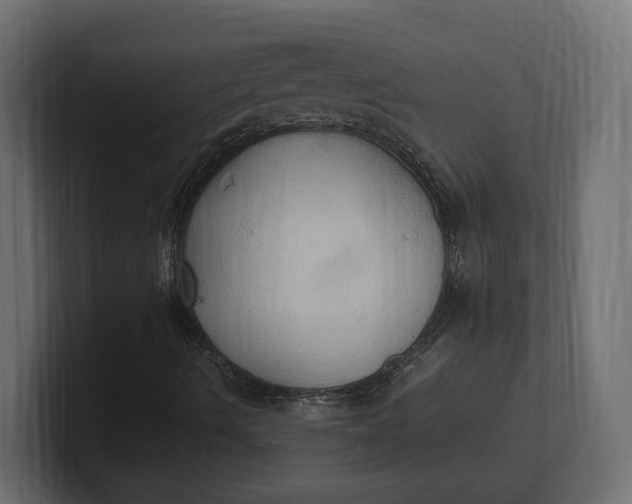 X0000100481490200806271151