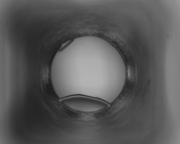 X0000100481492200806271151