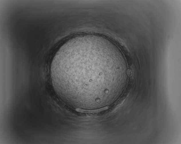 X0000100481494200806271151