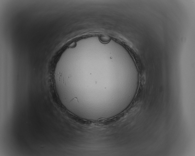 X0000100481496200806271151