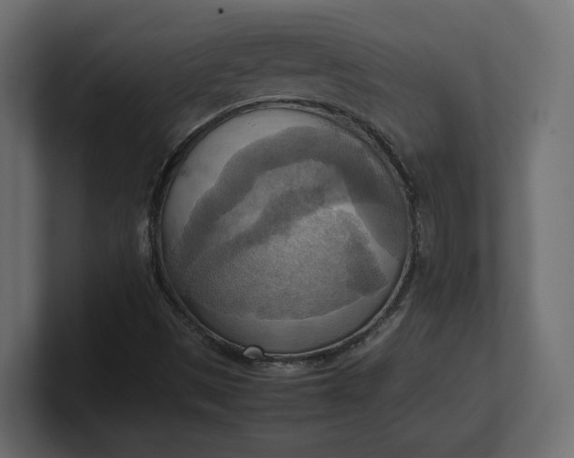 X0000100481497200806271151