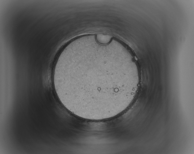 X0000100481498200806271151