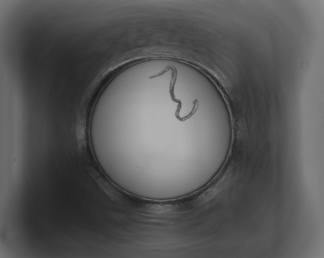 X0000100481499200806271151