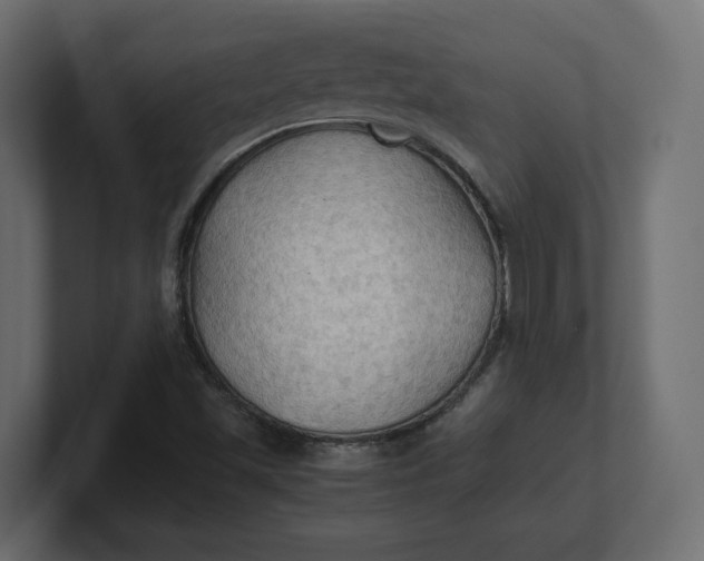 X0000100481501200806271151