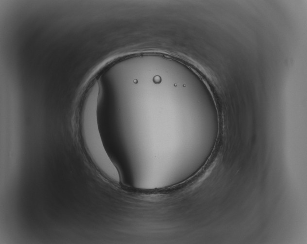 X0000100481502200806271151