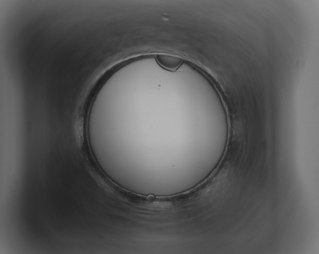 X0000100481503200806271151