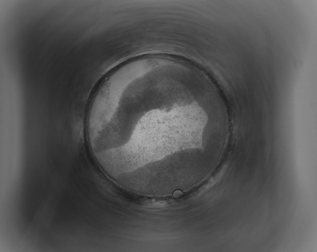 X0000100481505200806271151
