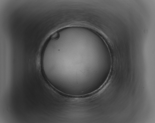 X0000100481506200806271151
