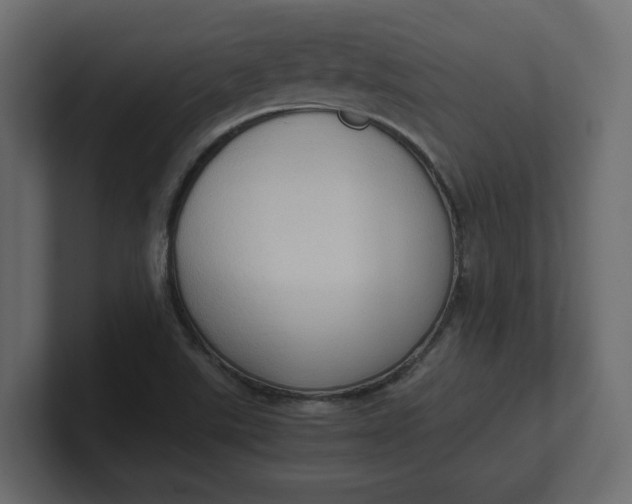X0000100481507200806271151