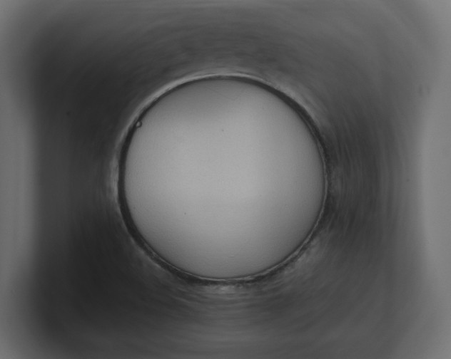X0000100481508200806271151