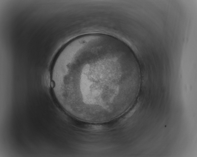 X0000100481509200806271151