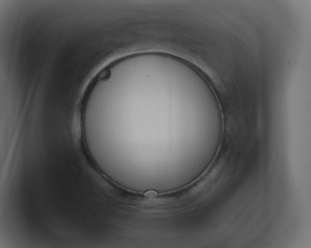 X0000100481510200806271151