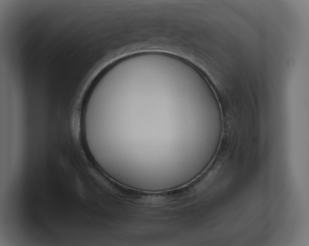 X0000100481511200806271151