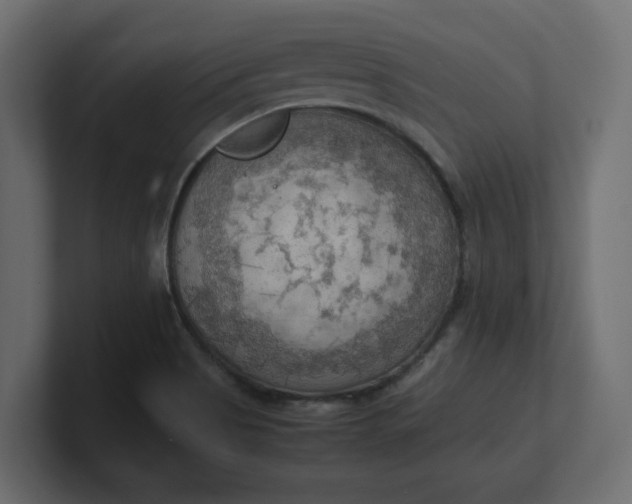 X0000100481513200806271151