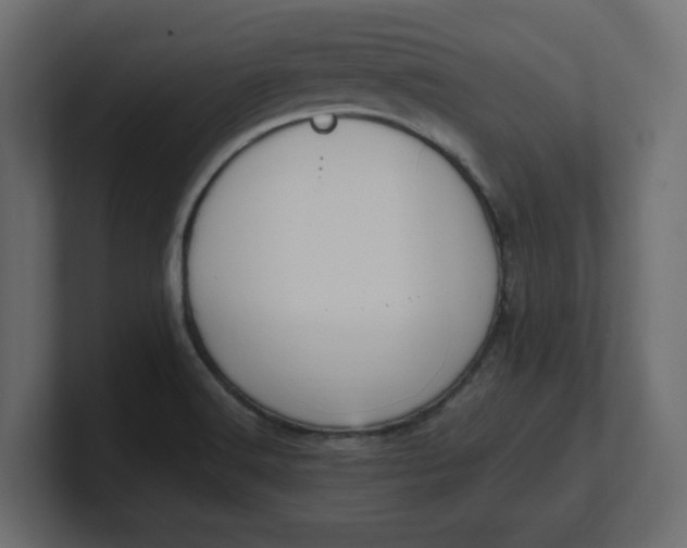 X0000100481516200806271151