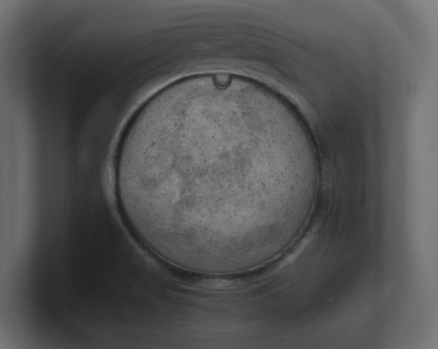 X0000100481517200806271151