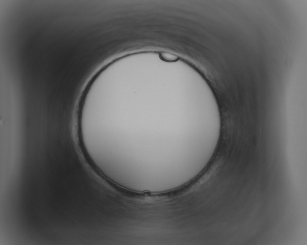 X0000100481518200806271151