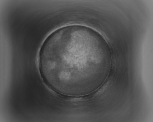 X0000100481519200806271151