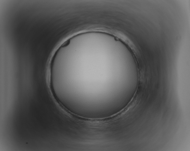 X0000100481520200806271151