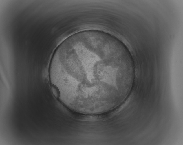 X0000100481521200806271151