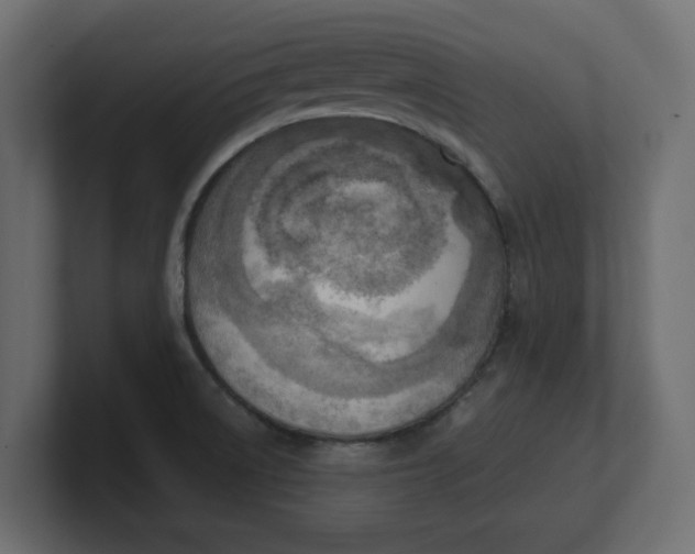 X0000100481522200806271151