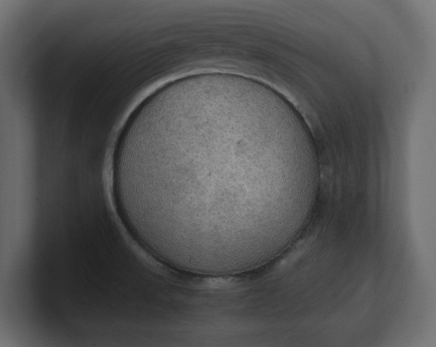 X0000100481523200806271151