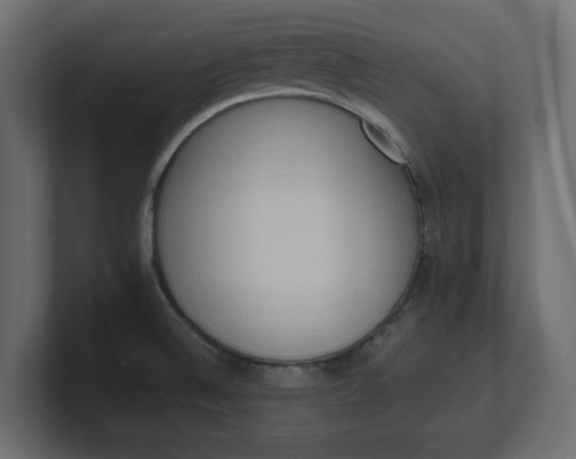 X0000100481524200806271151