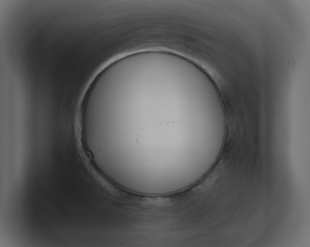X0000100481526200806271151