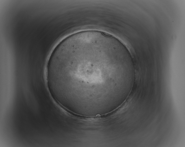 X0000100481527200806271152