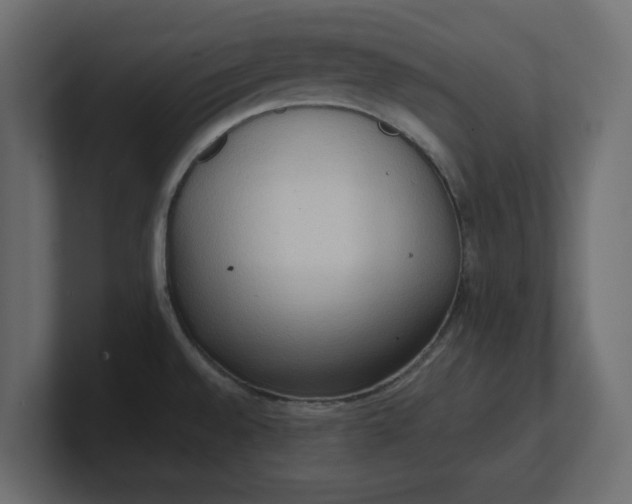 X0000100481528200806271152