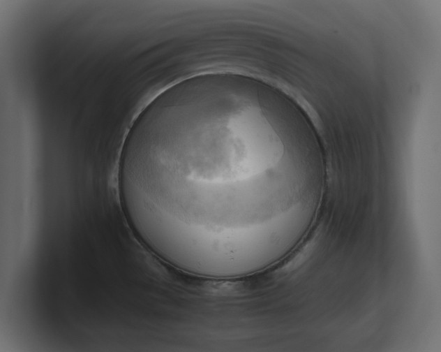 X0000100481529200806271152