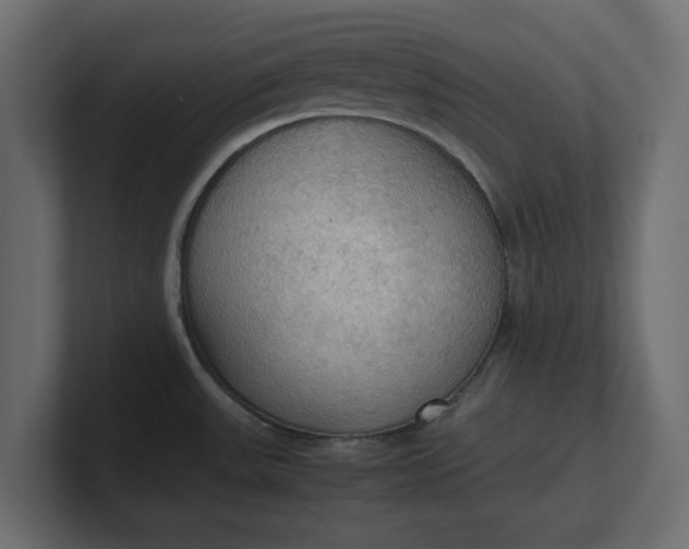 X0000100481531200806271152