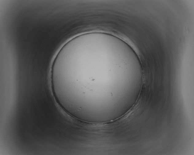 X0000100481532200806271152