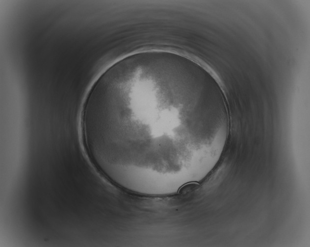 X0000100481533200806271152