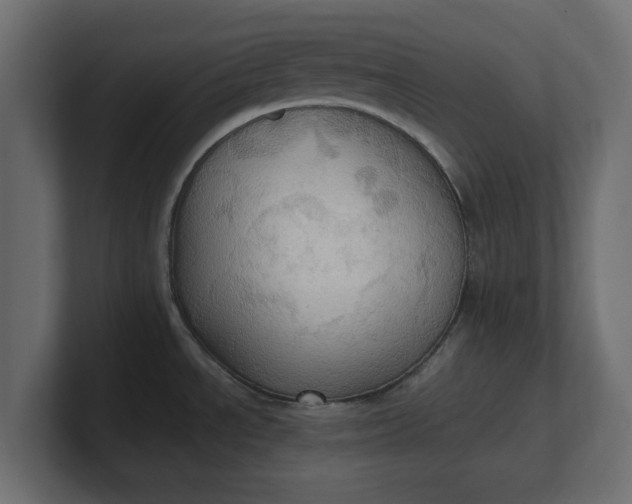 X0000100481534200806271152