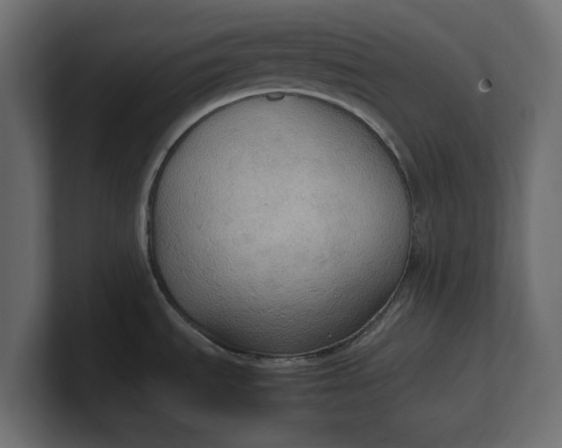 X0000100481535200806271152