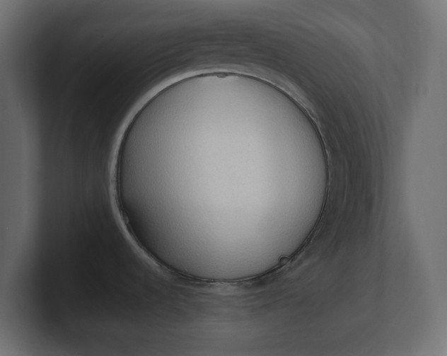 X0000100481536200806271152