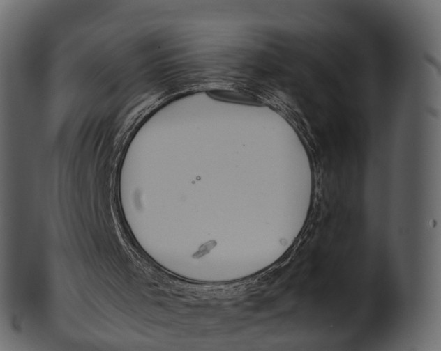 X0000100480001200807031903