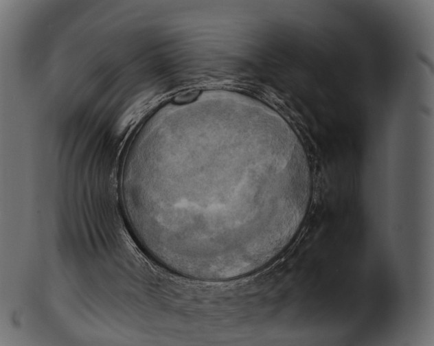 X0000100480002200807031903