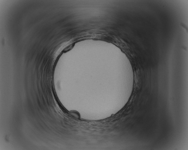 X0000100480003200807031903