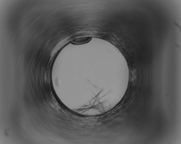 X0000100480004200807031903