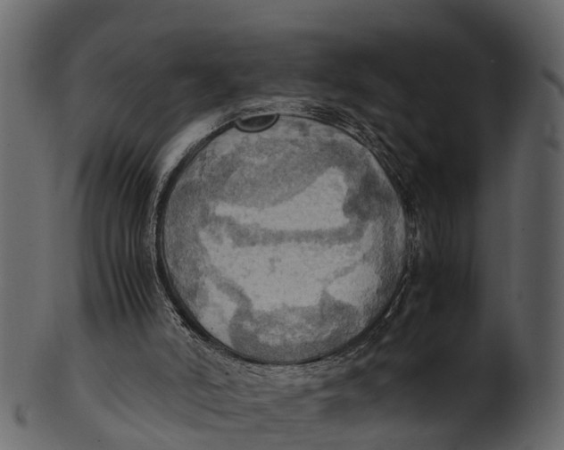 X0000100480006200807031903