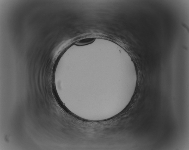 X0000100480007200807031903