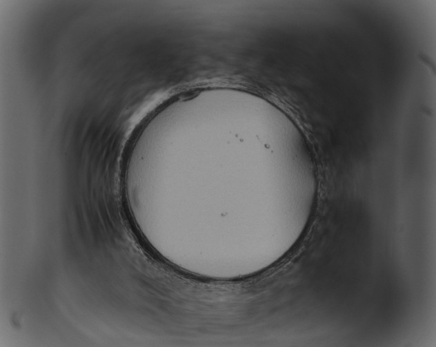 X0000100480008200807031903