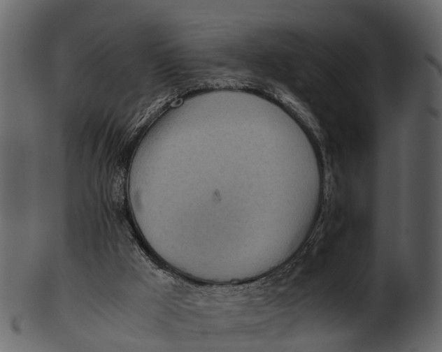 X0000100480009200807031903