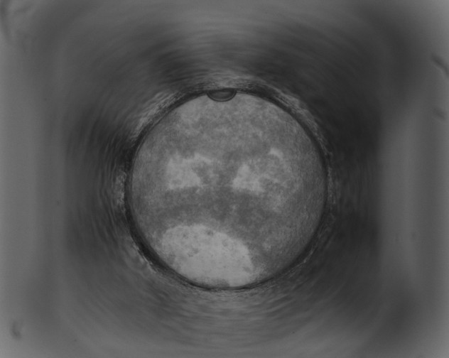 X0000100480010200807031903