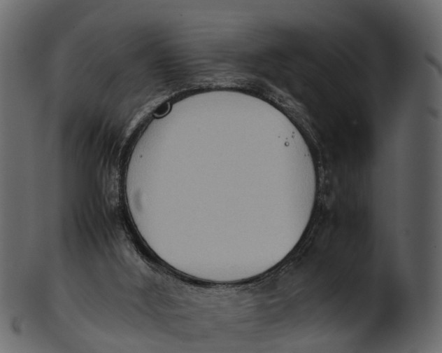 X0000100480012200807031903