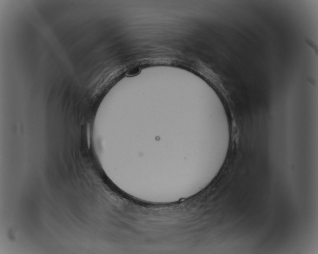 X0000100480013200807031903