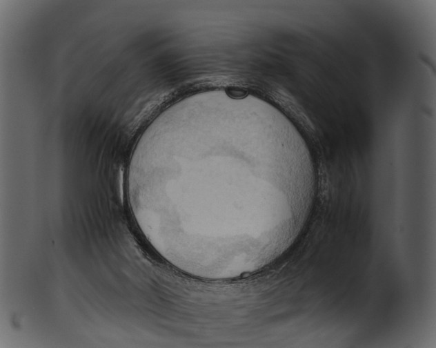 X0000100480014200807031903