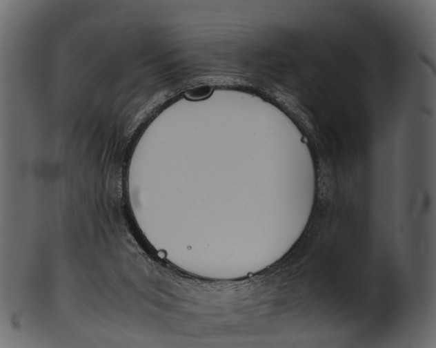 X0000100480015200807031903